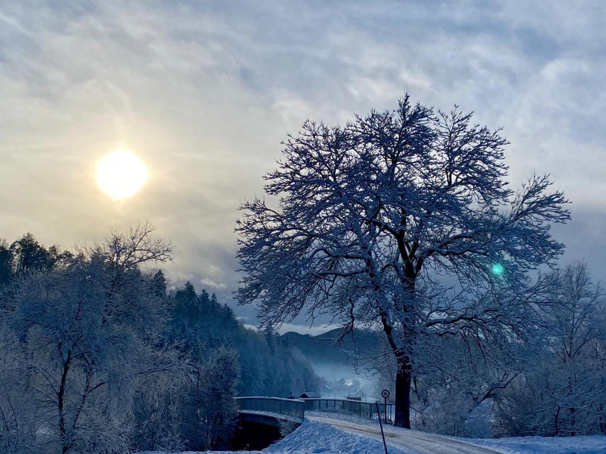 Ferienhaus Sausalblick Großklein Dış mekan fotoğraf