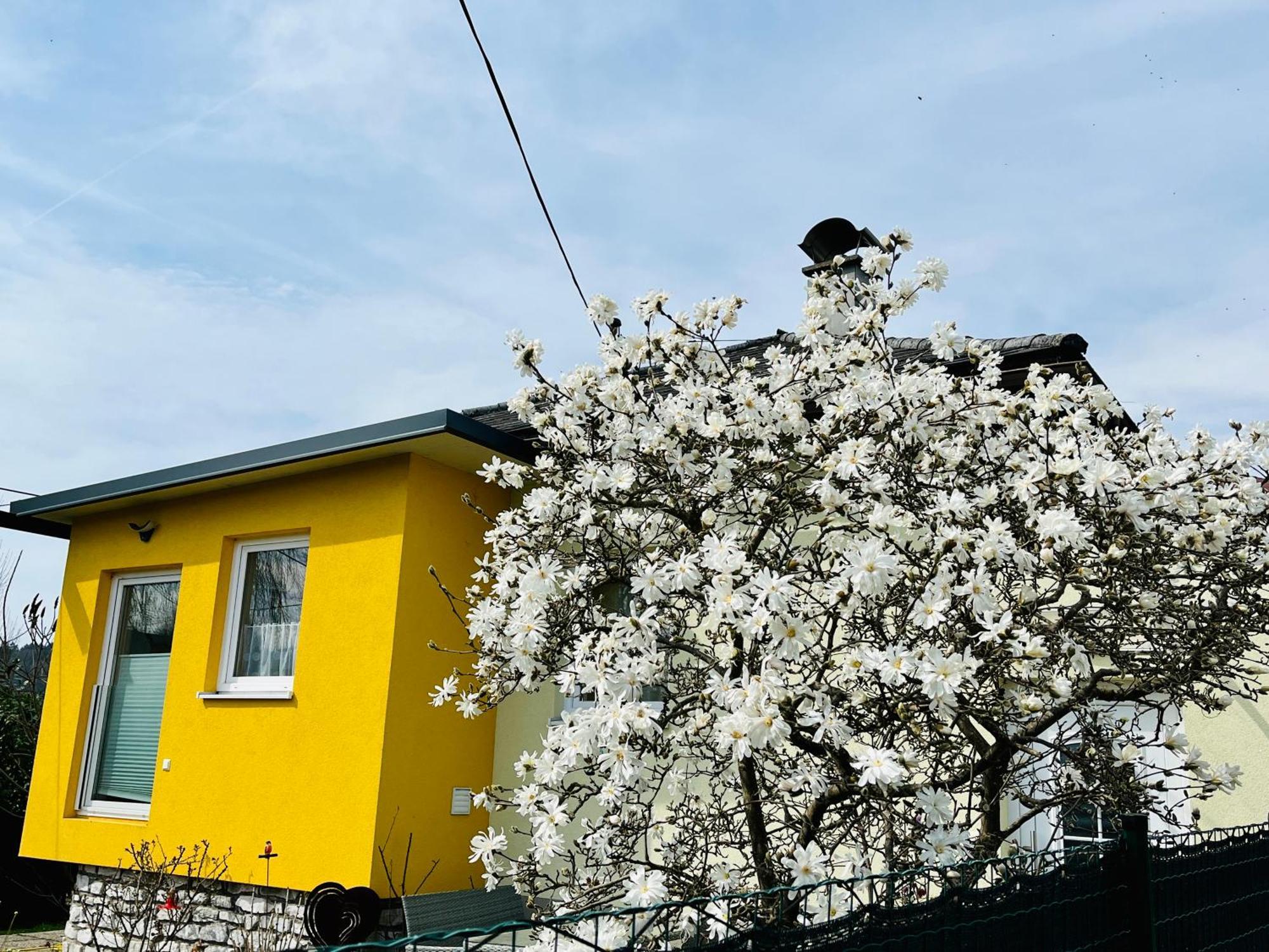 Ferienhaus Sausalblick Großklein Dış mekan fotoğraf